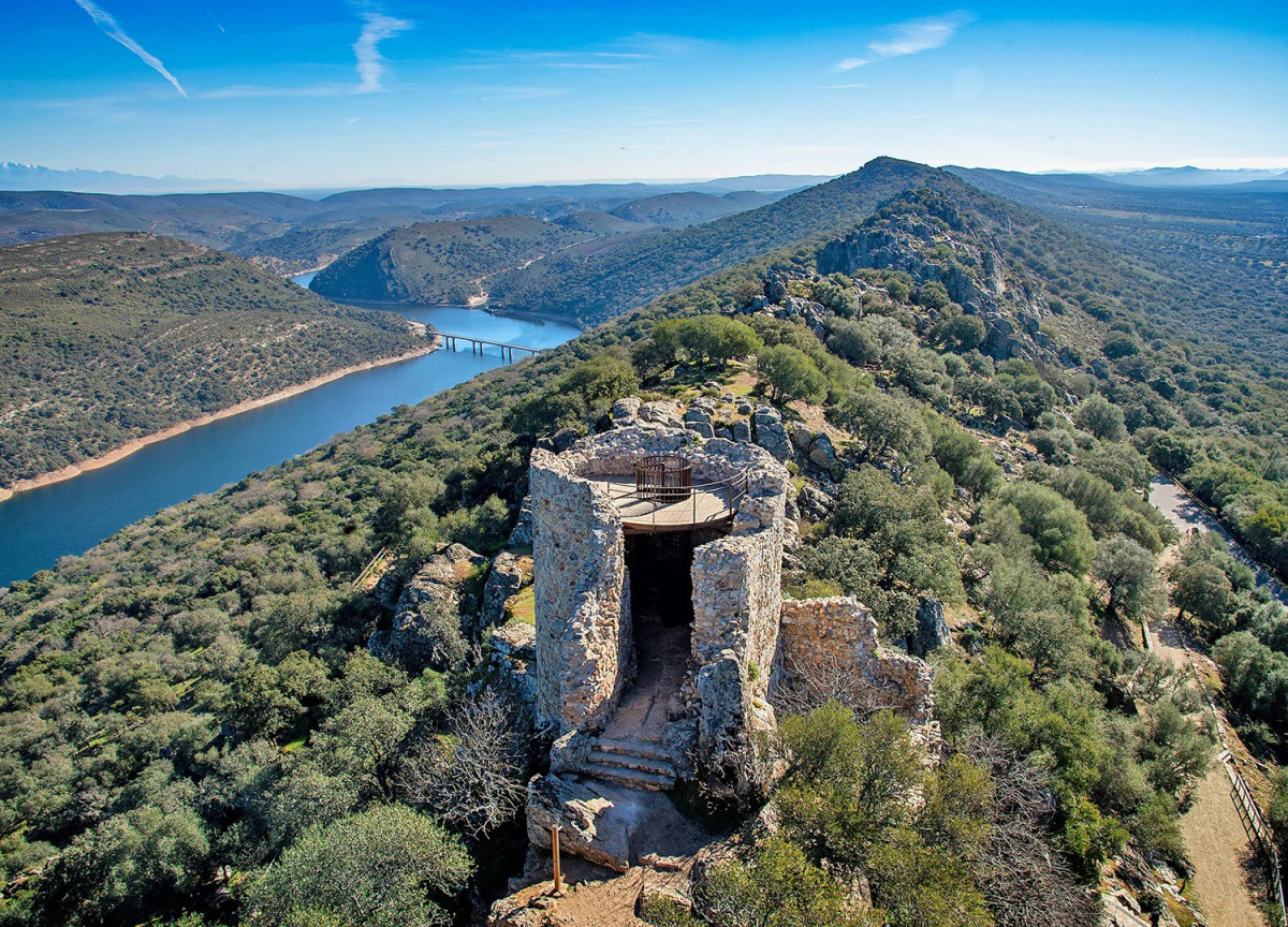 Monfrage