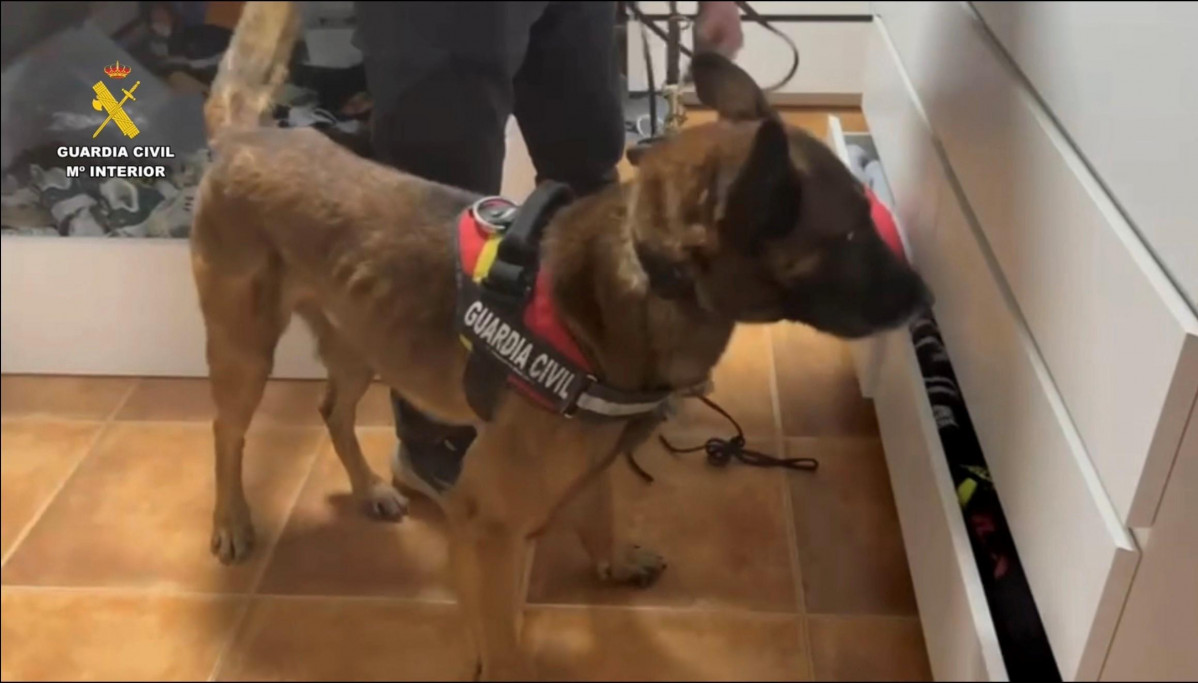 Operación DOMATIO 3