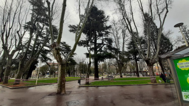 Alerta amarilla por fuertes vientos en el norte de Extremadura
