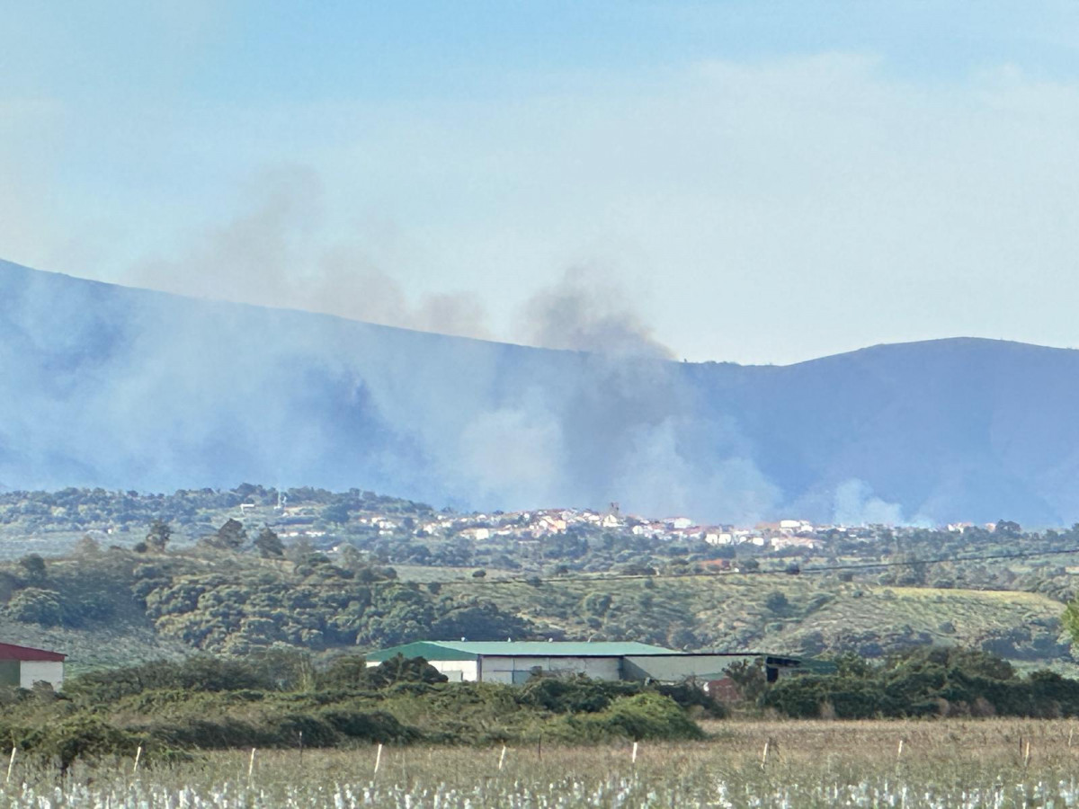 Incendio forestal hoyos 2