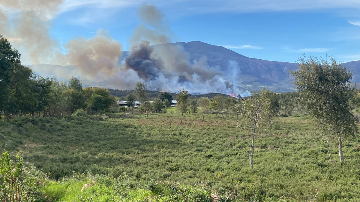 Incendio forestal hoyos 4