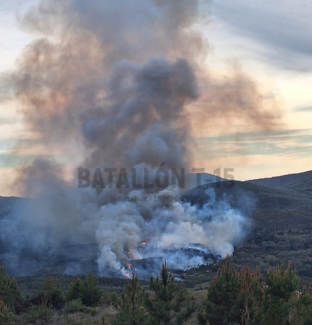 Incendio forestal hoyos acebo sierra de gata batallon t15