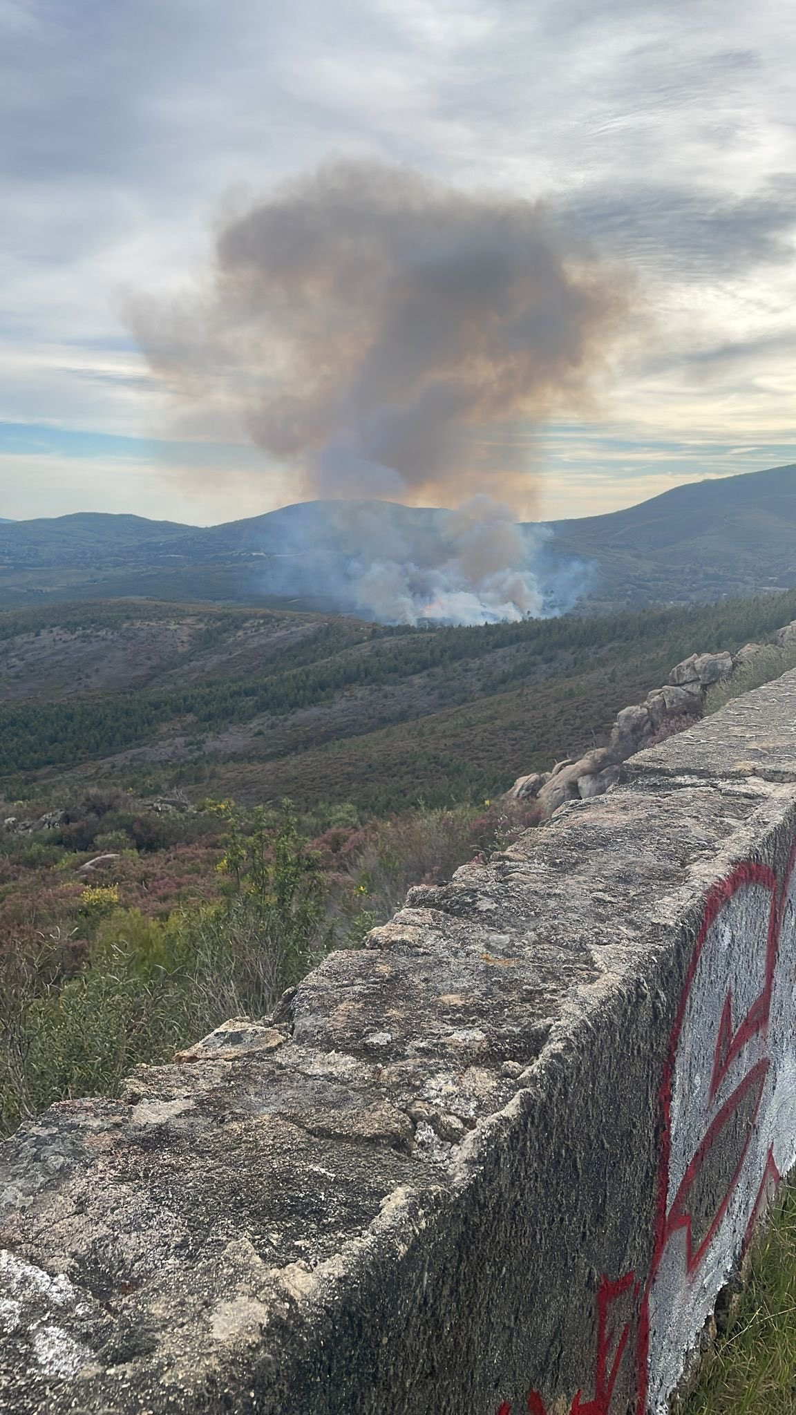 Incendio hoyos acebo sierra de gata infoex