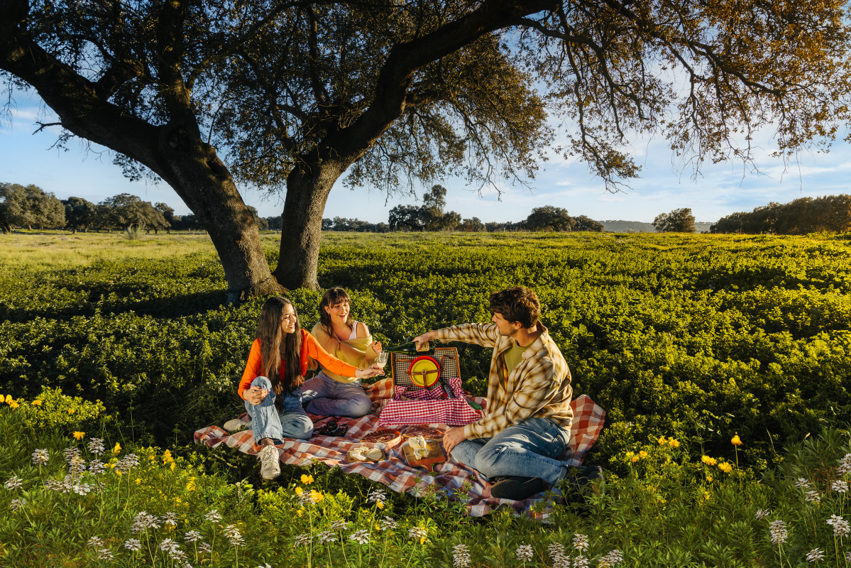 Viajeros turistas extremadura gastonomia