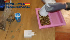 Incautan drogas y un arma en una operación policial en Badajoz