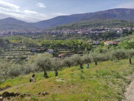 Una asociación mantiene batidas para tratar de localizar al desaparecido en Jarandilla