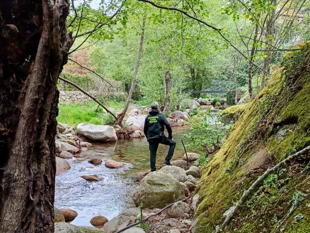 Busqueda desaparecido (2)