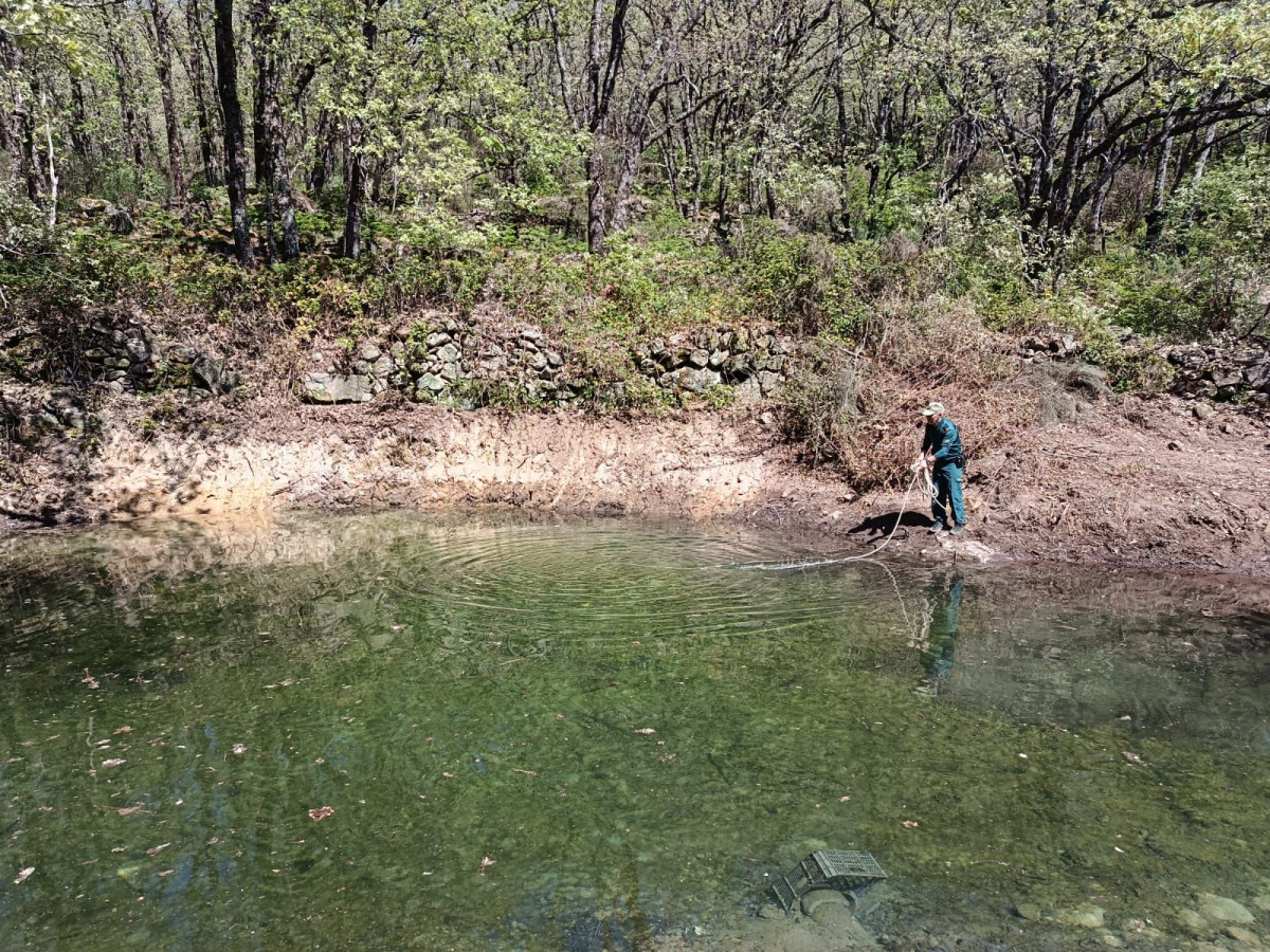 Busqueda desaparecido