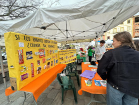 La Plaza de la Paz se convierte en un gran aula de vida sana con el estreno de Coria Salud Fest