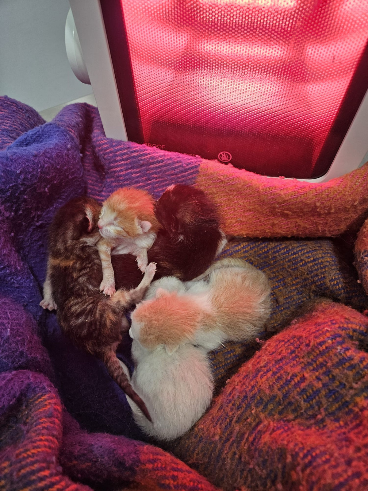 Abandono Valdecaballeros