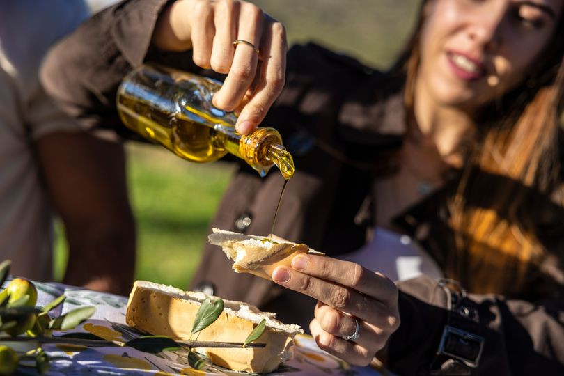 Aceite de oliva dop extremadura turismo