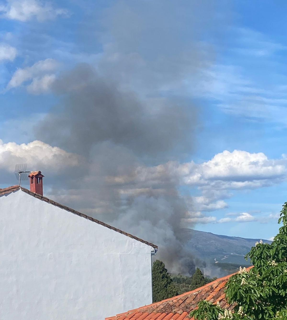 INCENDIO ACEBO BRIF PINOFRANQUEADO