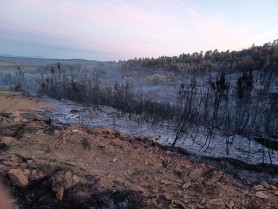 El incendio forestal de Acebo afecta a 17 hectáreas de matorral