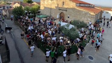 Vecinos de Perales del Puerto recogen firmas para cambiar el recorrido de los festejos taurinos