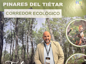Todo listo en Talayuela para presentar el cupón de la ONCE dedicado a los pinares
