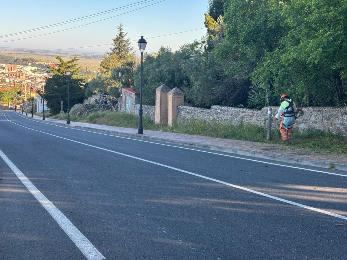 Desbroce bajada montaña