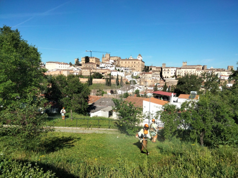 Cáceres despliega un operativo especial para la Bajada de la Virgen de la Montaña