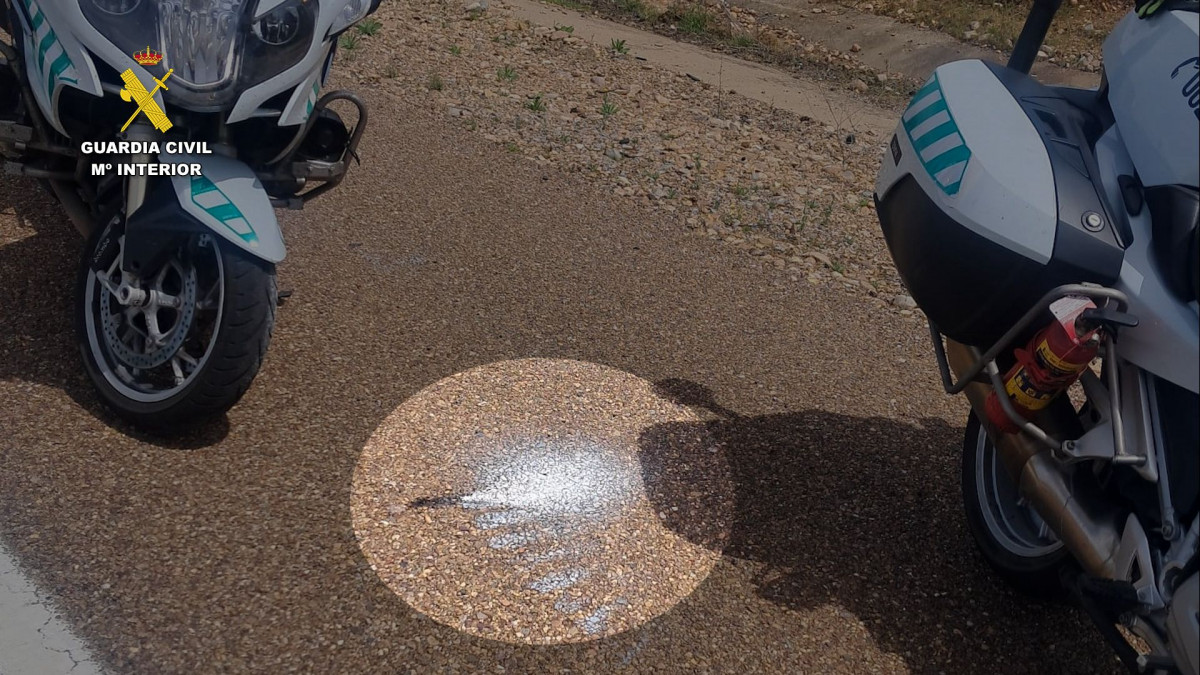 Detendios conduccion temeraria