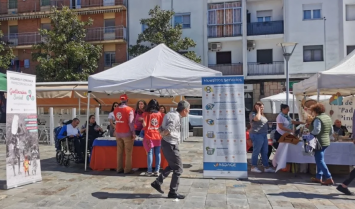 Cáritas Interparroquial de Coria organiza un mercadillo con asociaciones de toda la provincia