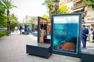 El arte sale a la calle en Badajoz con una exposición en la Avenida de Colón