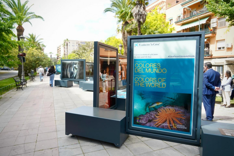 El arte sale a la calle en Badajoz con una exposición en la Avenida de Colón