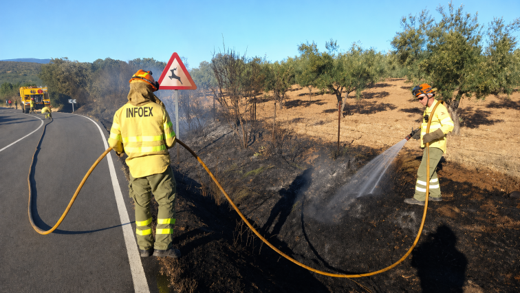 Casi 2.200 aspirantes optan a 195 plazas de bombero forestal y 29 de agente del Medio Natural