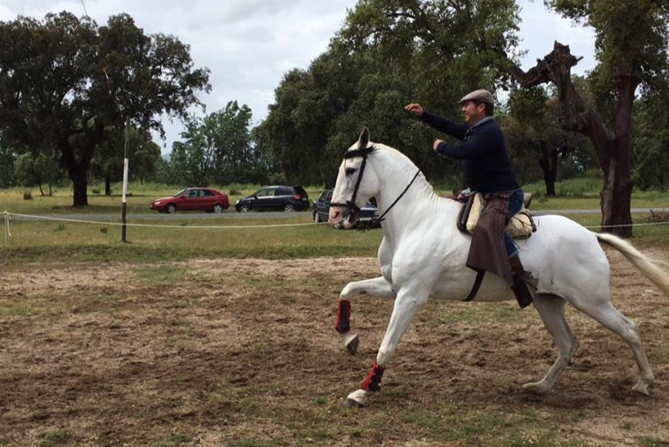 Exhibiciones ecuestres, gastronomía y música en la Concentración de Caballistas de Vegaviana