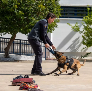 Zamora guarda silencio por las víctimas del atentado de Barcelona 