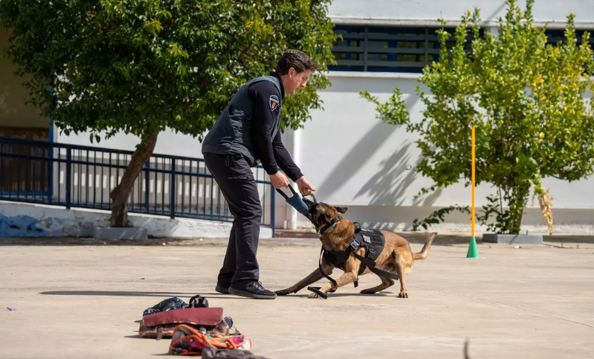 La Unidad Canina de la Policía Local ofrecerá una exhibición en Mérida