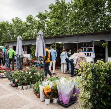 Zamora guarda silencio por las víctimas del atentado de Barcelona 