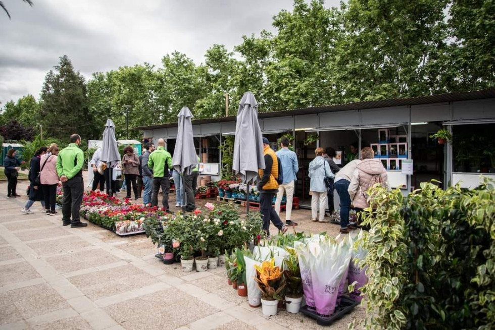 Mérida celebrará el mercado de las flores con más de 1.500 plantas y talleres gratuitos