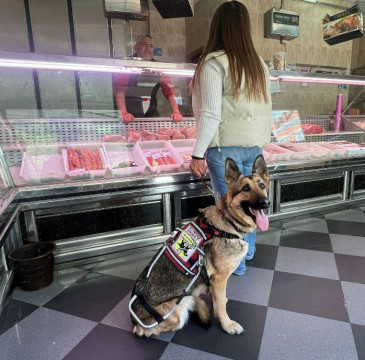 Zamora guarda silencio por las víctimas del atentado de Barcelona 