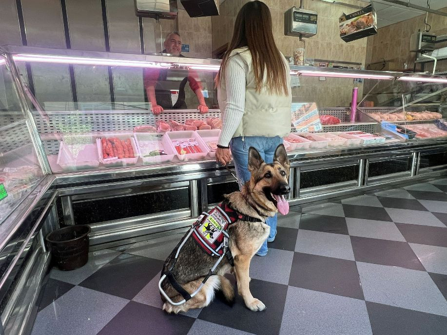 La ONCE reclama el acceso de los perros guía a las tiendas de alimentación en Extremadura