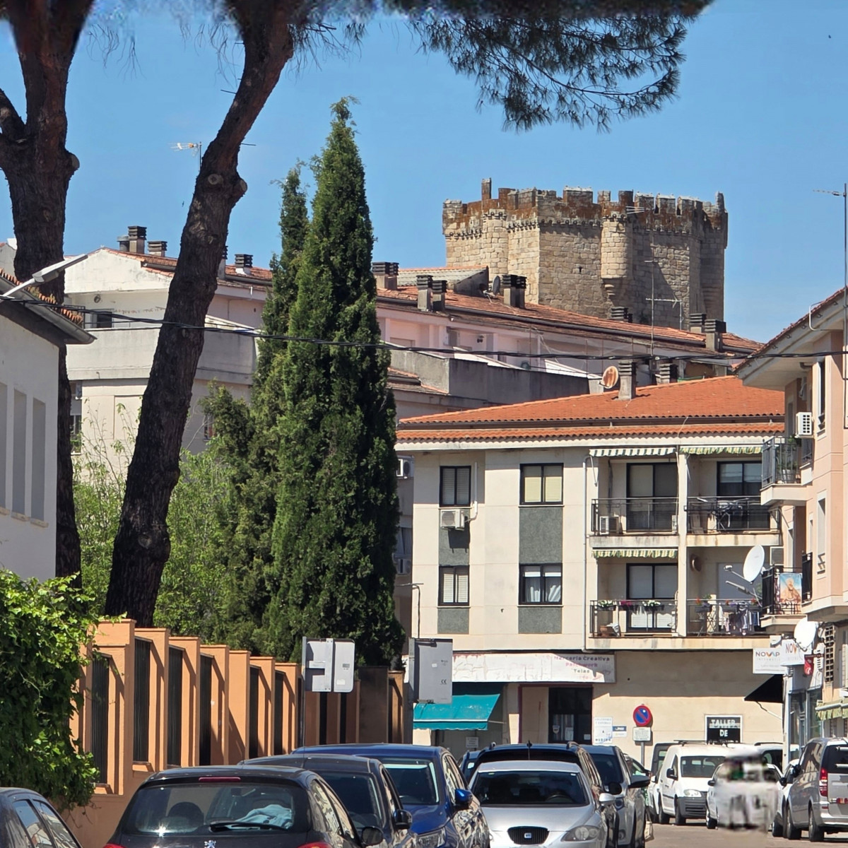 ALMUDENA Y DIPUTACION 3