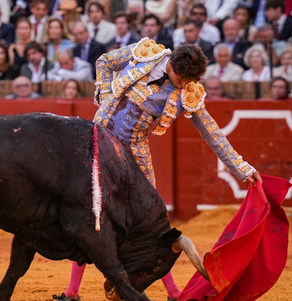 Roca Rey estará en Cáceres y encabezará el cartel de la Feria de San Fernando