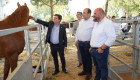 Zahínos celebra el Rodeo reforzando la actividad comercial transfronteriza