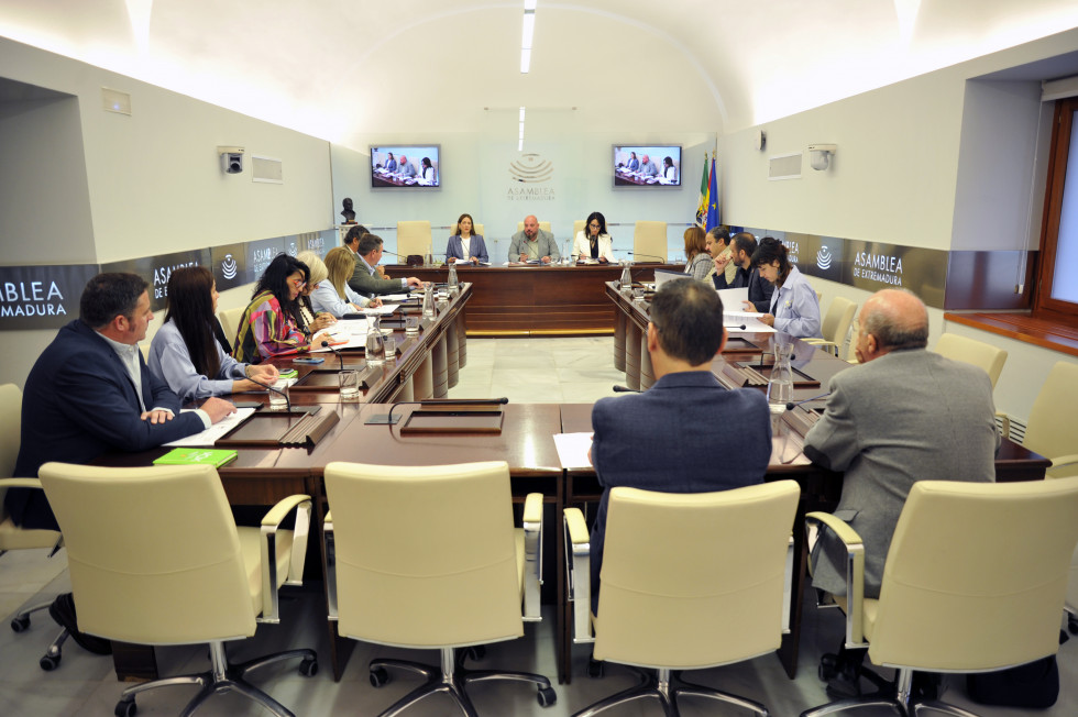 El PP presidirá ocho de las 11 comisiones permanentes de la Asamblea de Extremadura