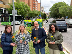 Cáceres planta 9.000 flores para renovar sus zonas verdes esta primavera