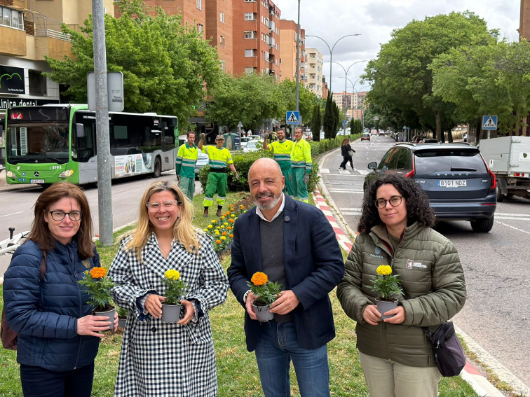 Cáceres planta 9.000 flores para renovar sus zonas verdes esta primavera