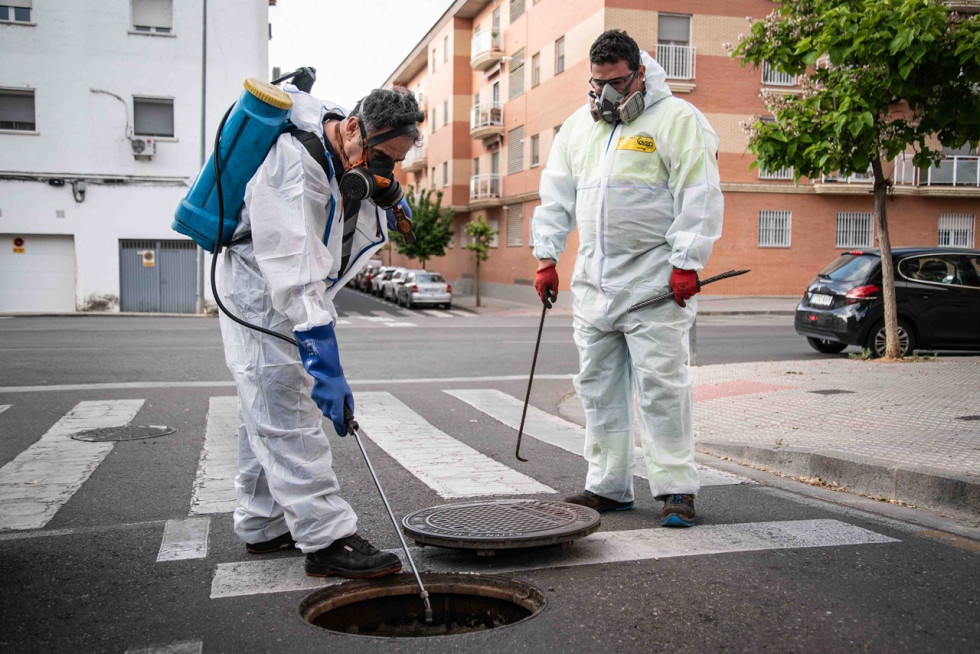 Arranca la campaña de desratización en Mérida