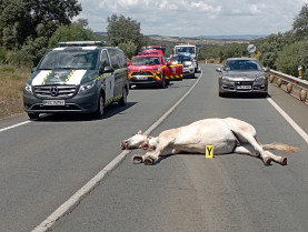 Evacuado en helicóptero un herido grave tras una colisión con un carro de caballos