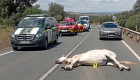 Evacuado en helicóptero un herido grave tras una colisión con un carro de caballos