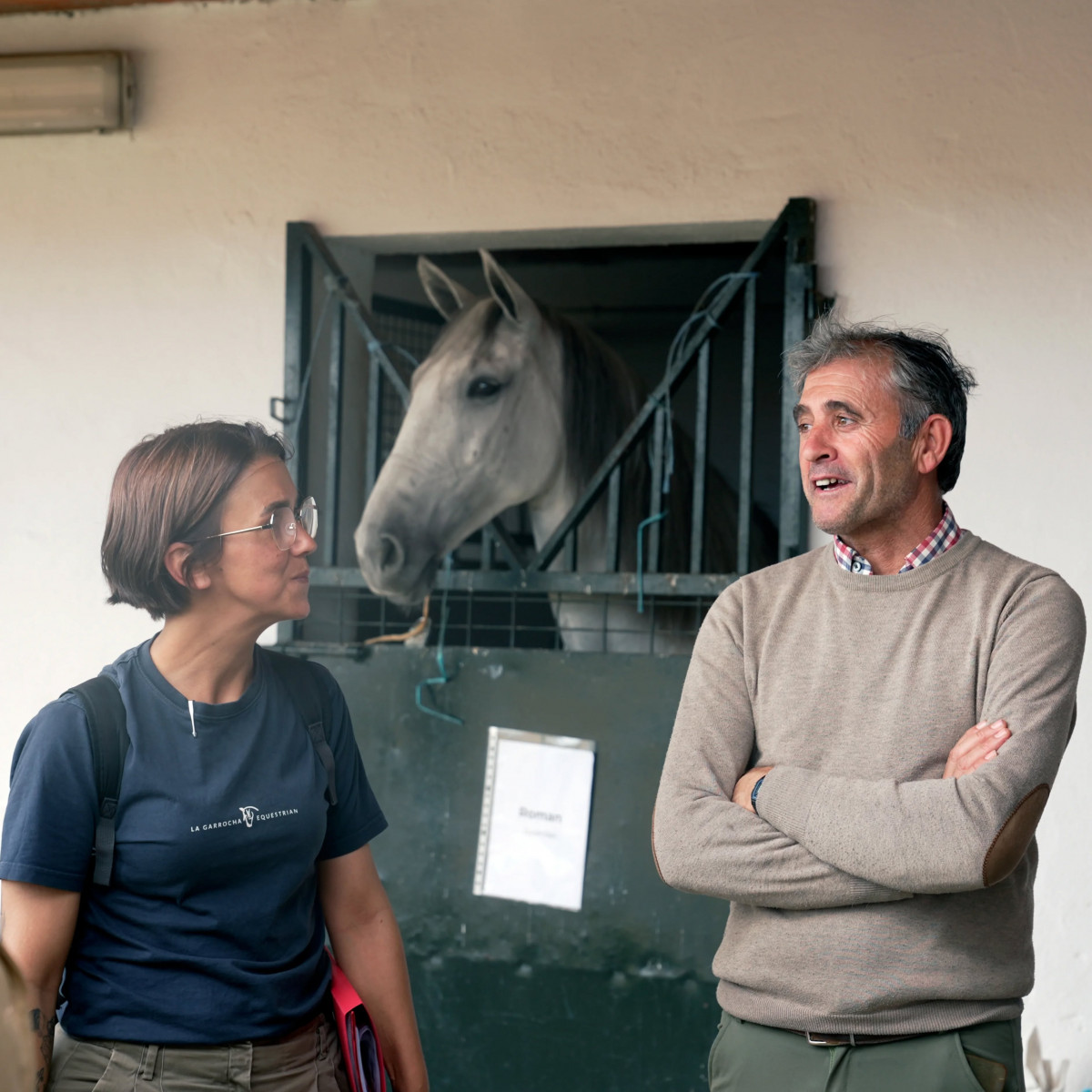 Feria Ecuestre, Caballos, Torrejoncillo, 2