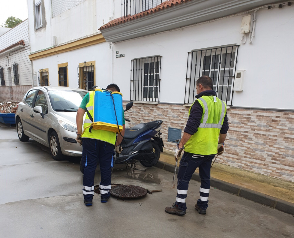 Moraleja inicia este martes la habitual campaña de desratización