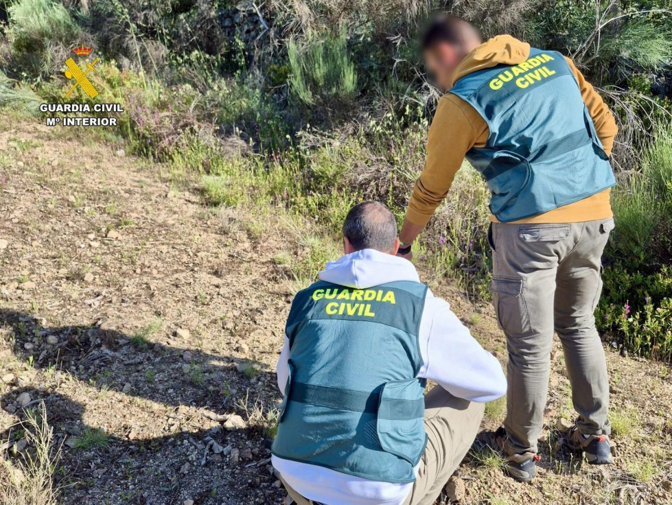 Roban 1.000 metros de cable y paralizan una fábrica de pimentón de La Vera