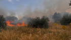Un incendio en Malpartida de Cáceres deja daños en tres parcelas privadas