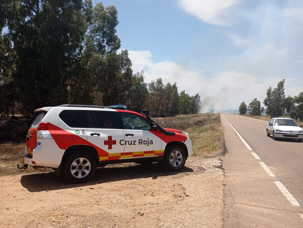 Los bomberos forestales consiguen controlar un incendio ocurrido en Novelda