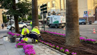 Badajoz inicia la plantación de 22.000 flores para embellecer plazas y zonas verdes de la ciudad