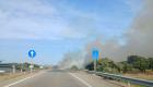 Declarado un incendio forestal en Navalmoral de la Mata