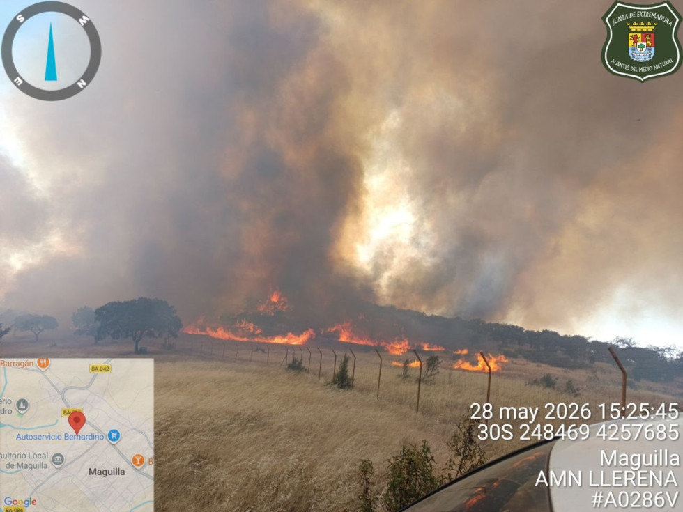 Amplio despliegue aéreo y terrestre para sofocar un incendio en Valencia de las Torres